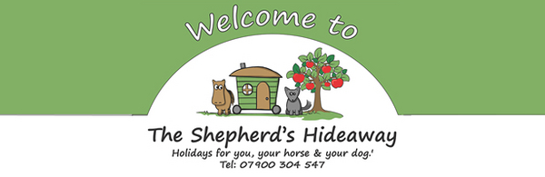 Shepherds Hut holidays for you, your horse and your dog!